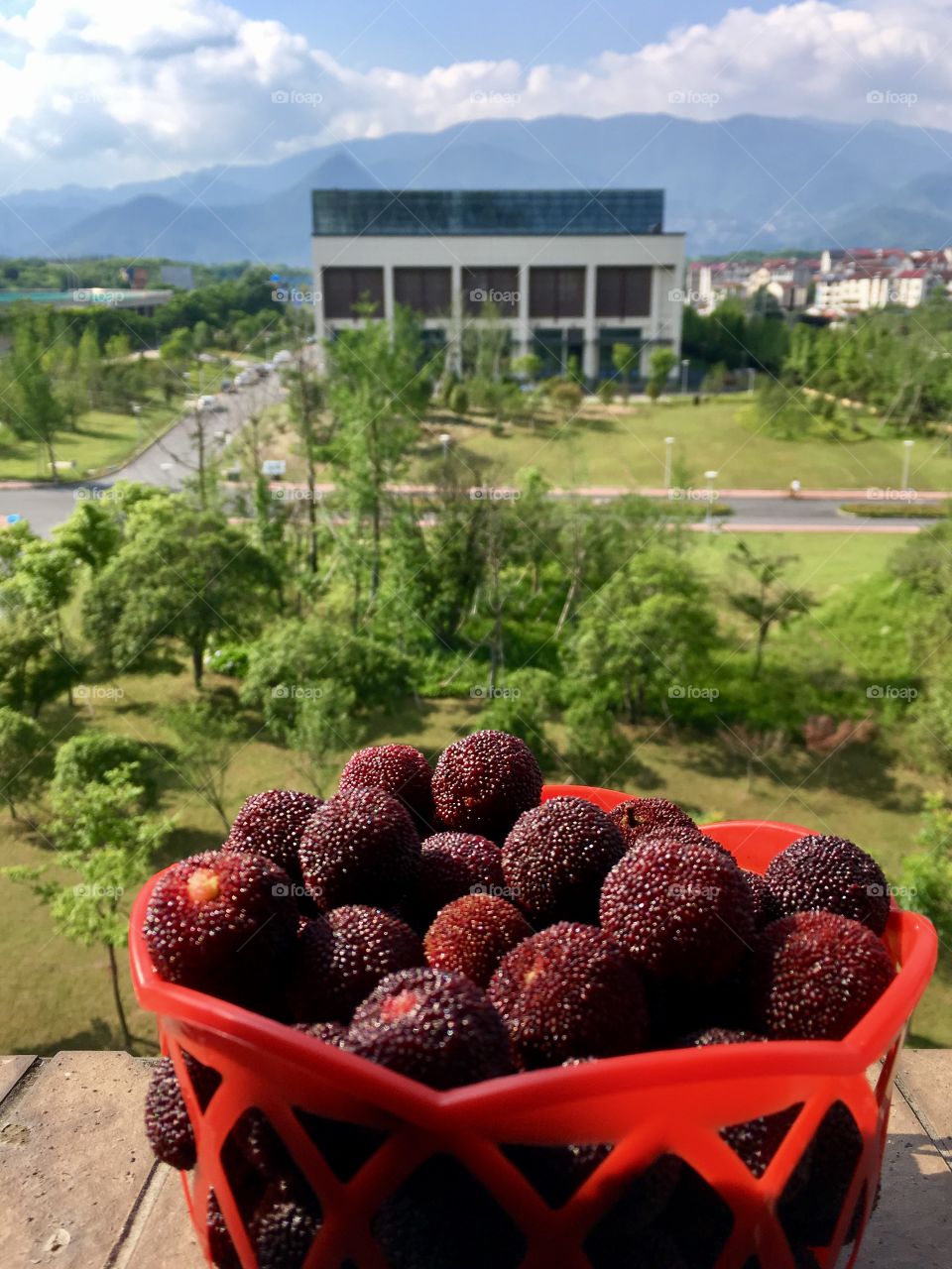Summertime berries 