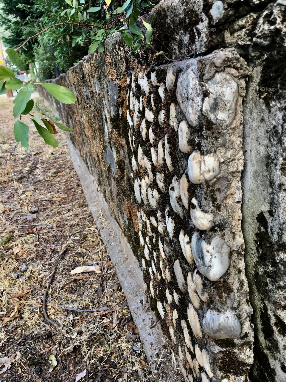 A textured rock wall aged with moss in a good prospective 