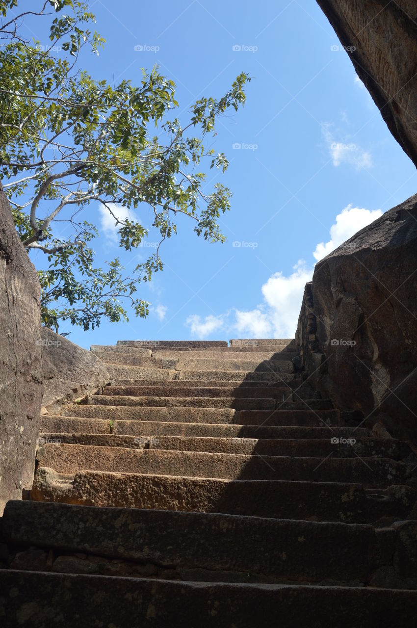 Steps Sri Lanka