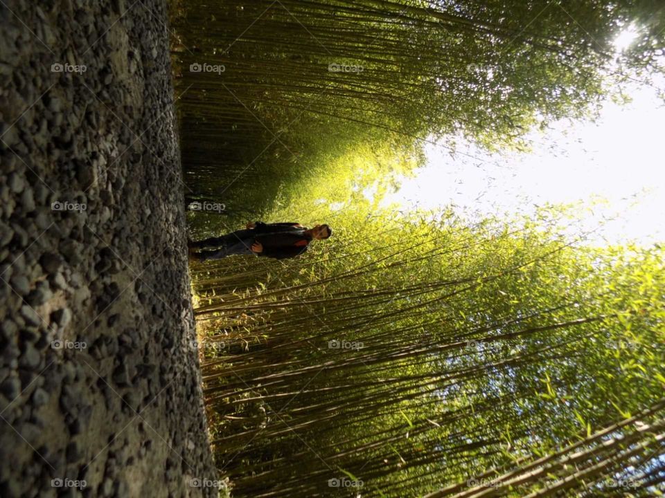 Visiting Jardín Botánico Lankester, flowers, nature, flora.
