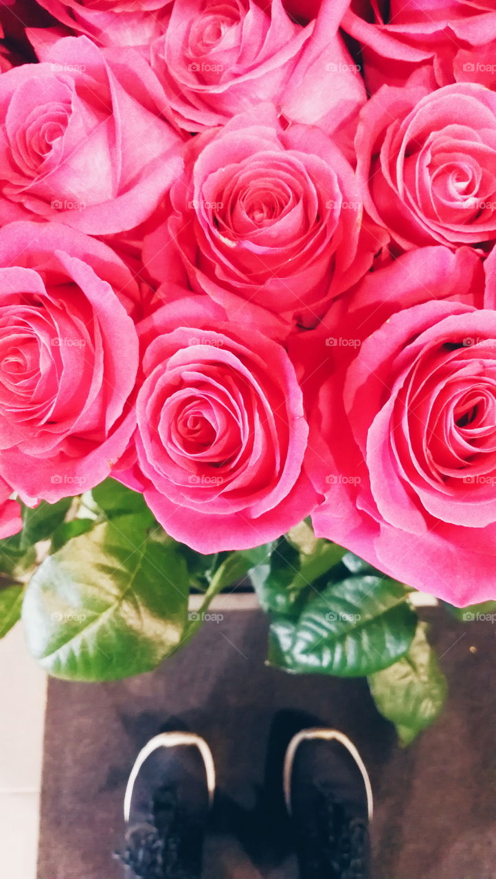 Rose, Love, Bouquet, Flower, Romance
