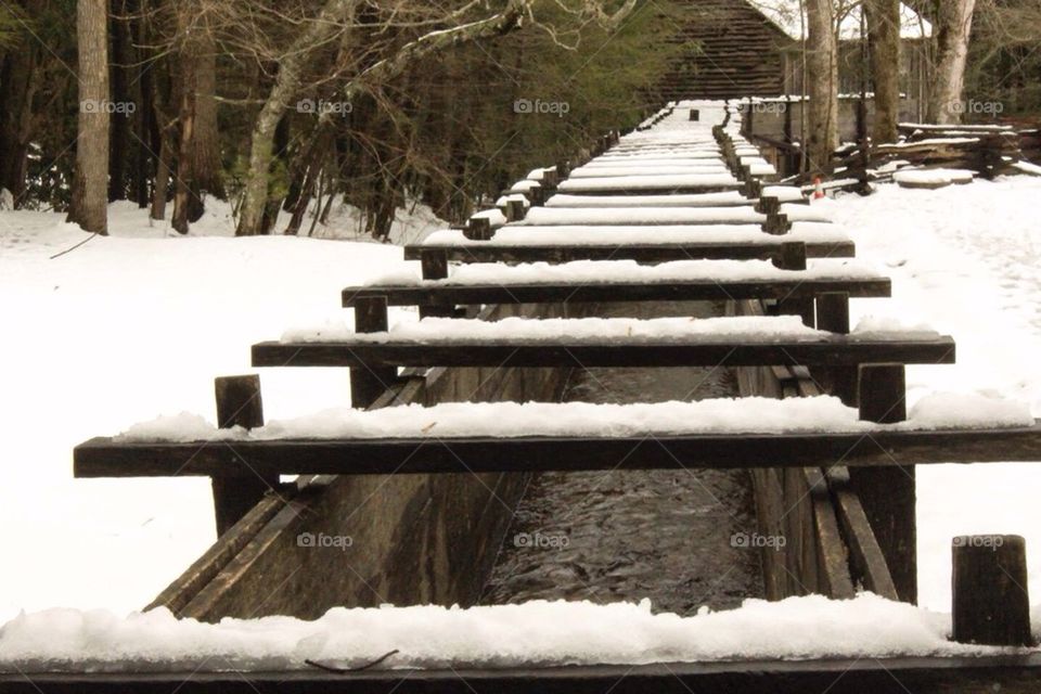 Snowy Perspective