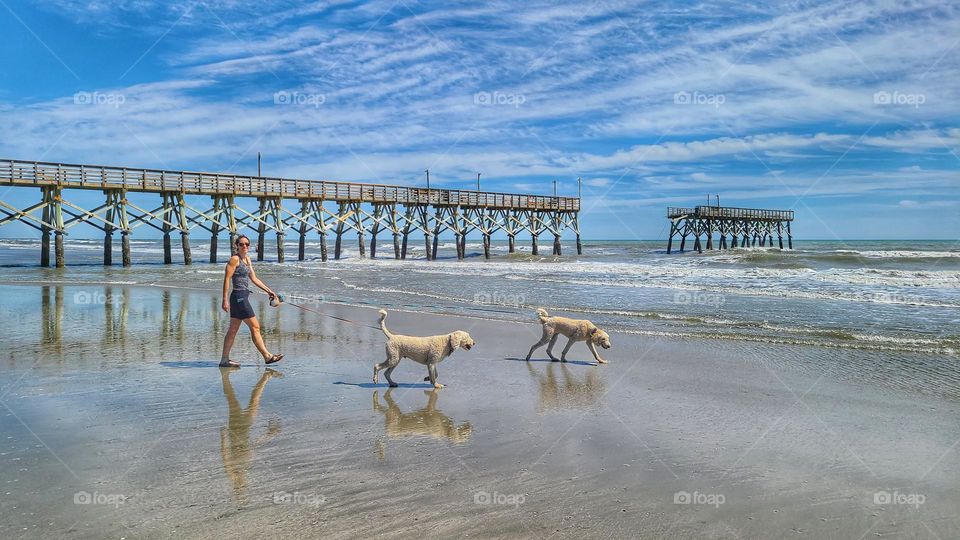 walking the dogs by the pier on the beach
