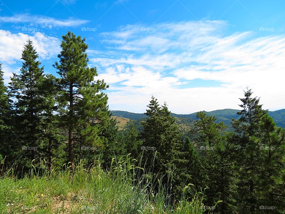 Mountainside views in Colorado.