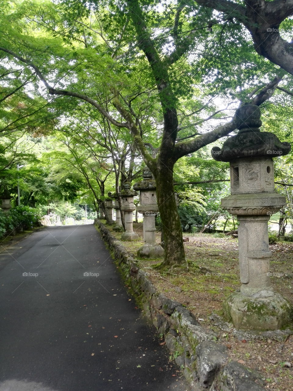 Mitaborakobo Hokke Temple