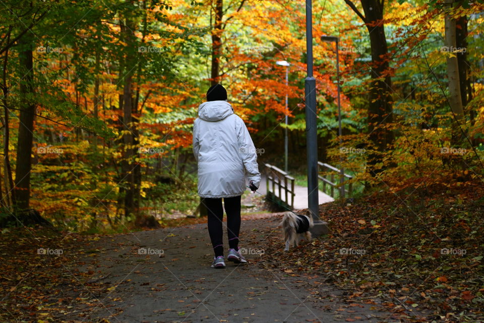 Walking the dog in fall