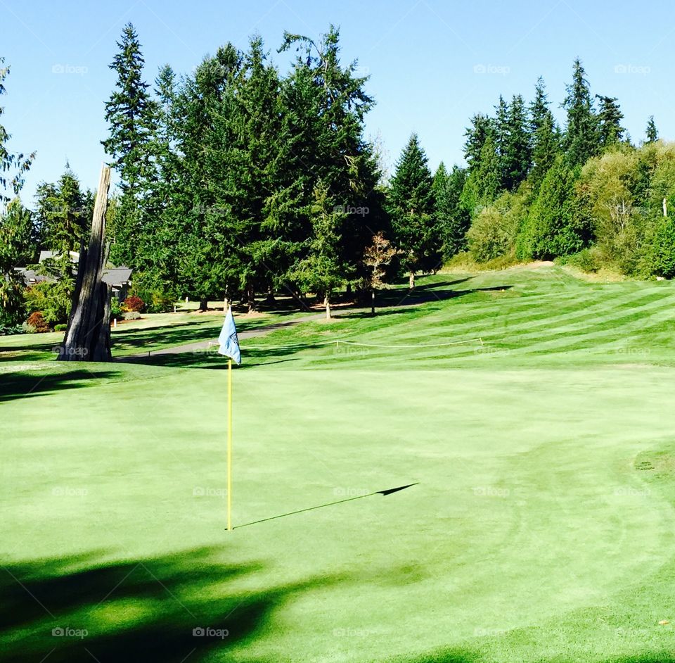 Hole #7 Port Ludlow Golf Course
