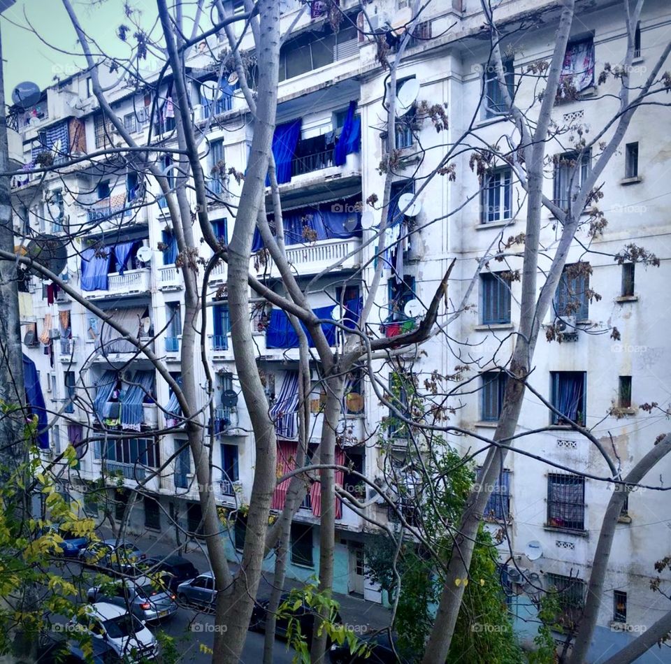 Autumn in the city 🍁