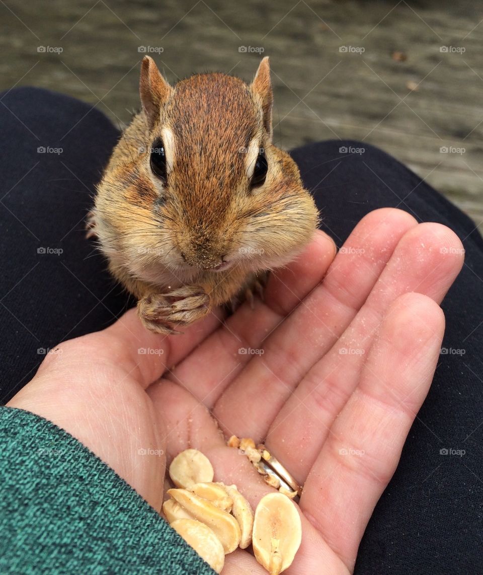 Eating out of the palm of my hand 