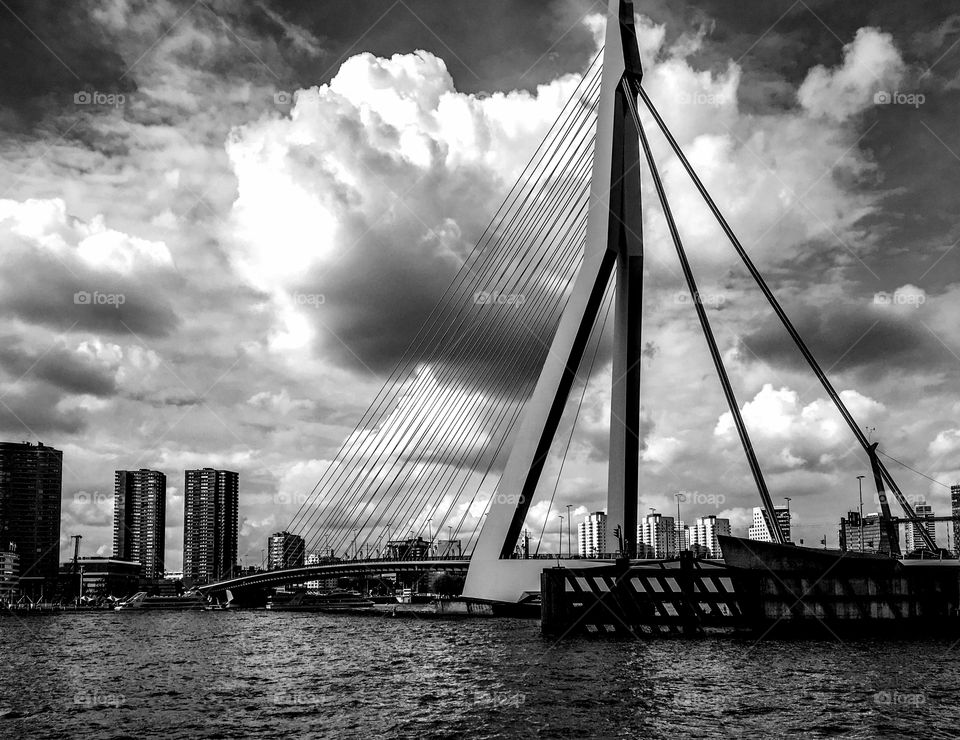 Erasmus Bridge in Rotterdam The Netherlands 