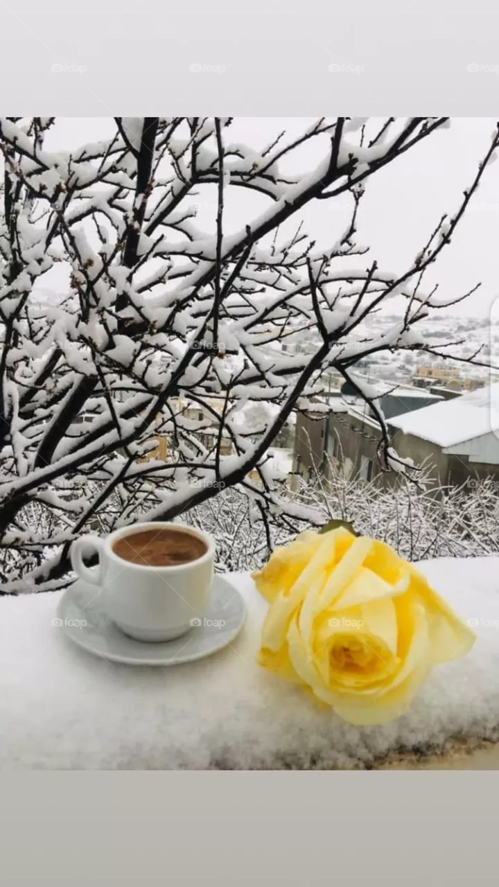 Wonderful snow