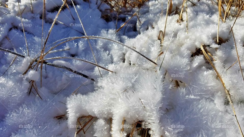 Frosty snow flakes