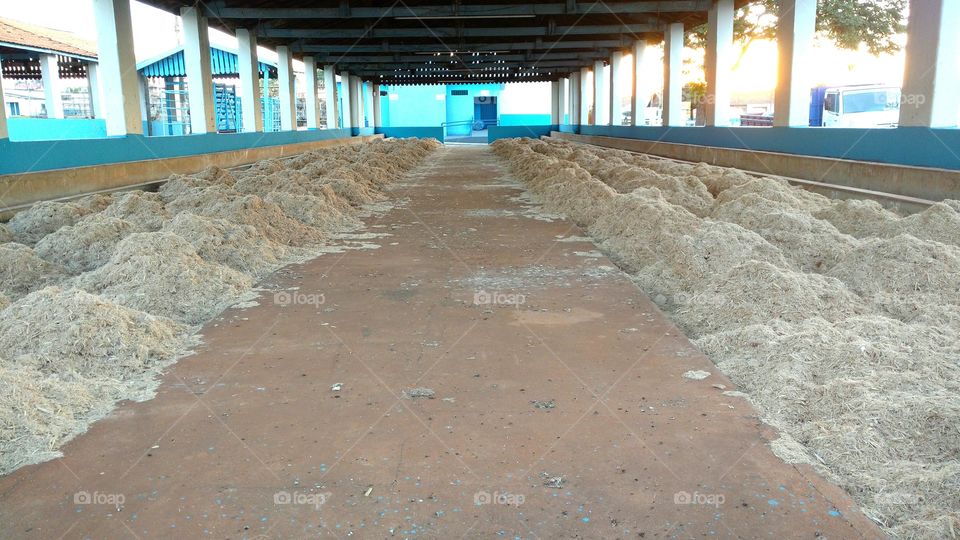 Baia para cocheiras. Criação de bovinos.