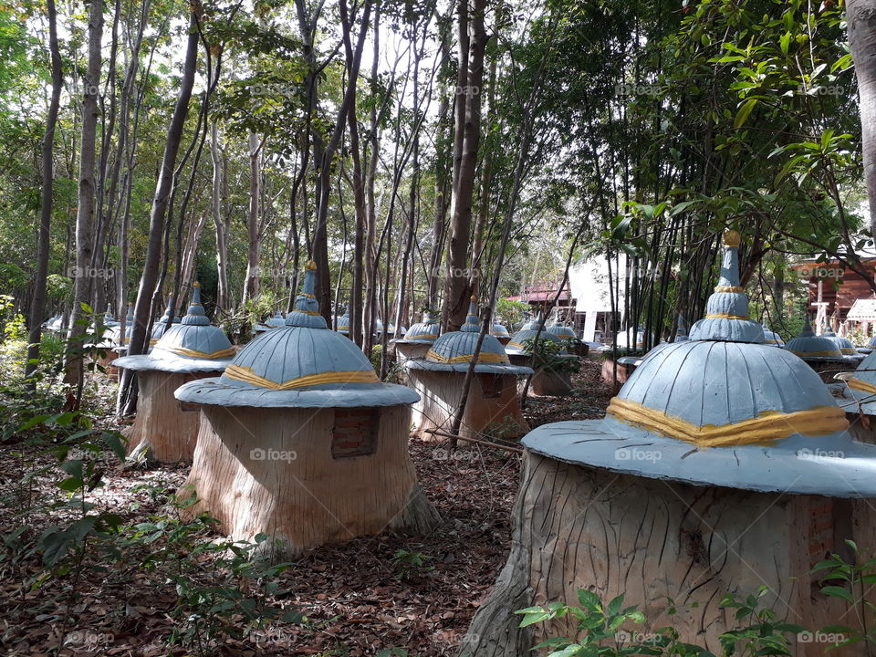 elephant 's  graveyard