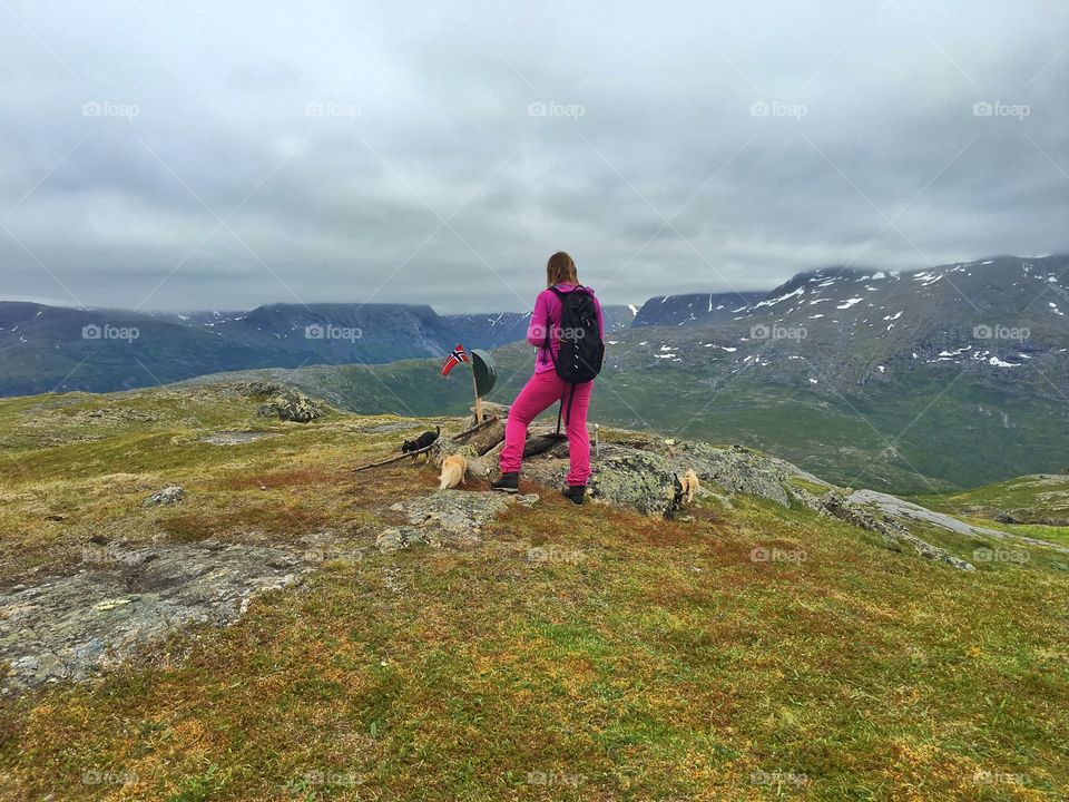 On top of Stubbliklubben , Narvik