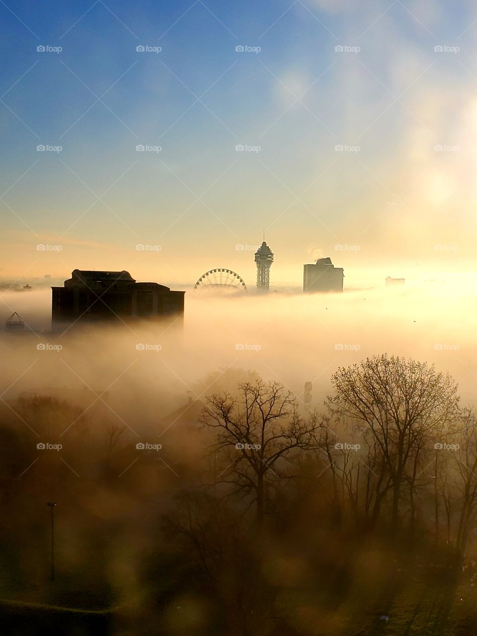 Foggy niagara morning