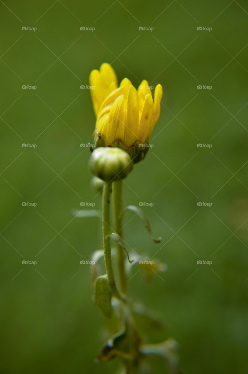 The Spring has Arrived...