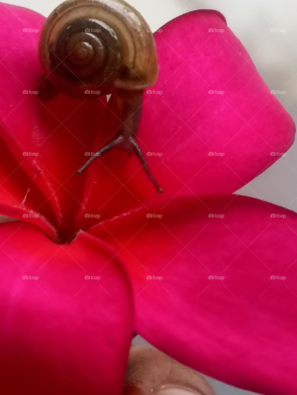 naturewith different forms