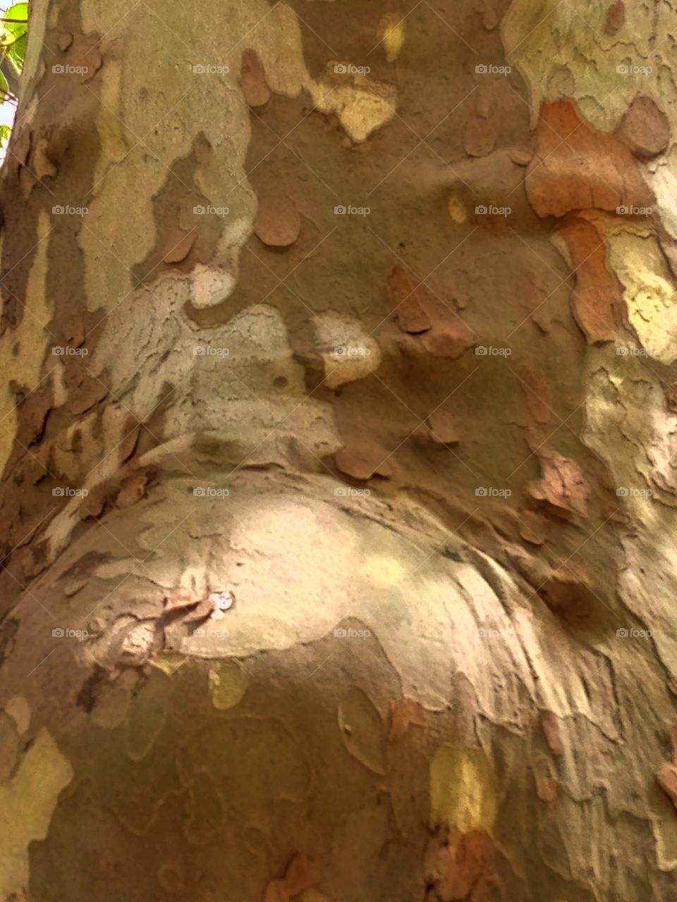 Cave, No Person, Subway System, Old, Art