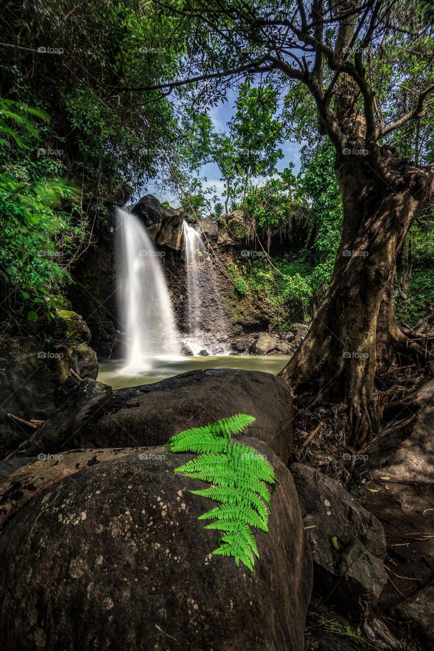 hidden waterfall