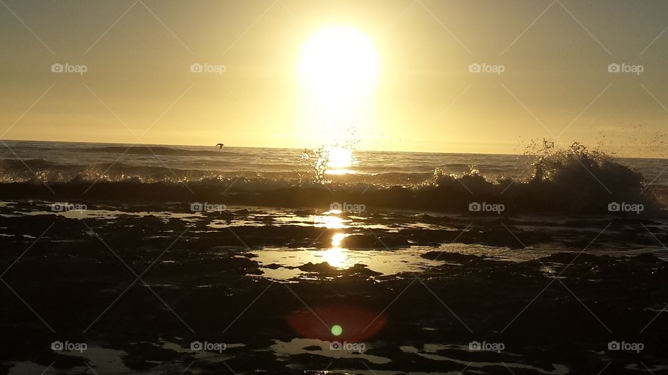 Backlit crashing wave at sunset