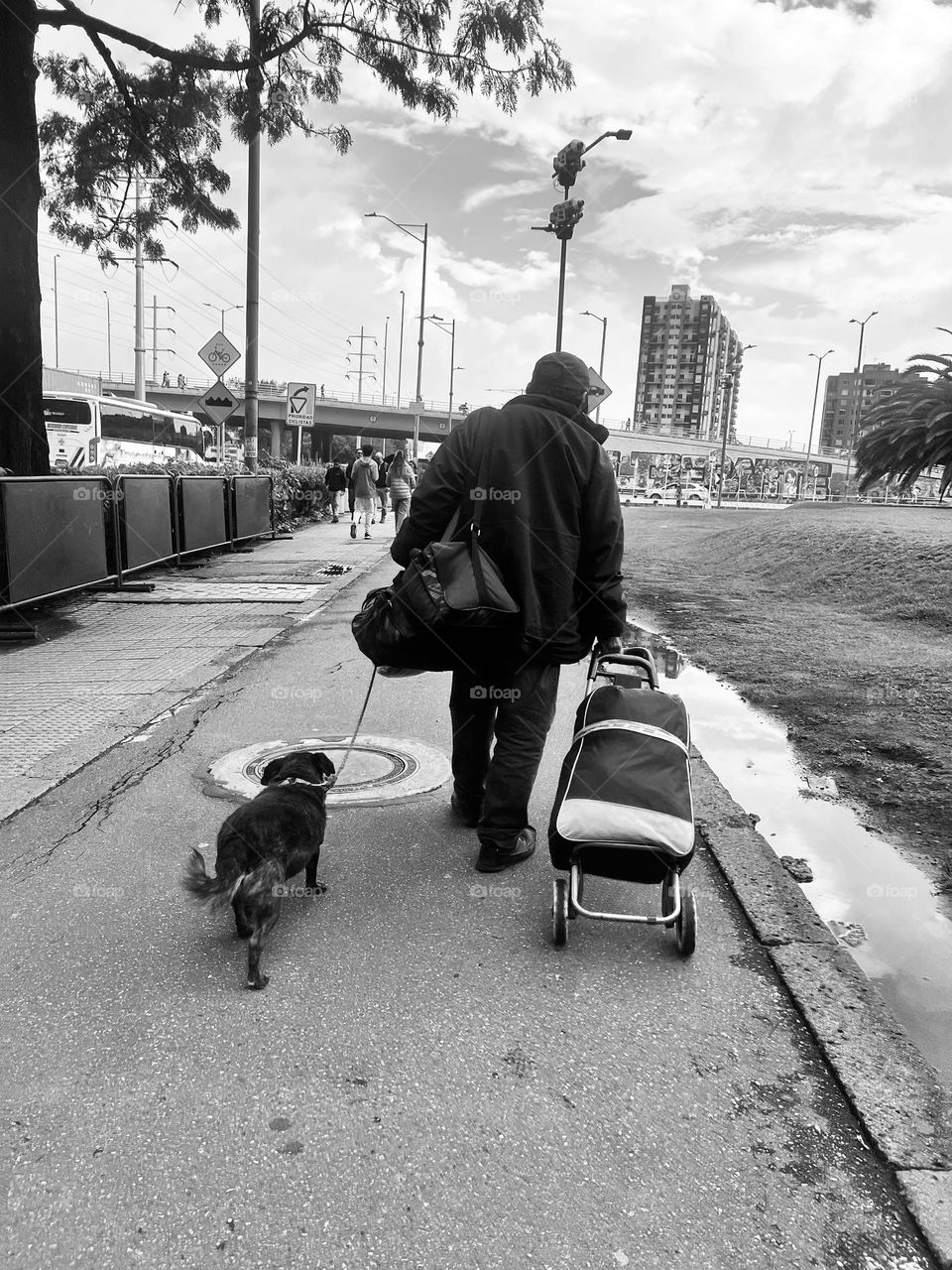 Hombre en la calle con su perro 