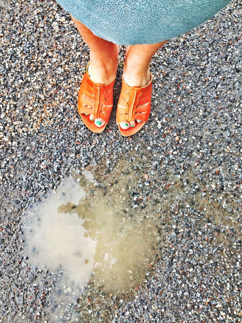 summer puddle