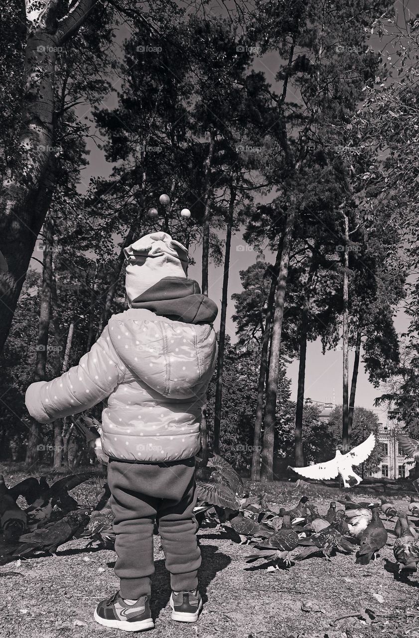 kid feeding the birds in the park