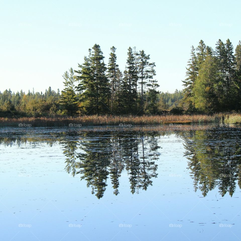 Reflections of the forest in the Michigan outdoors, so peaceful and quiet in nature