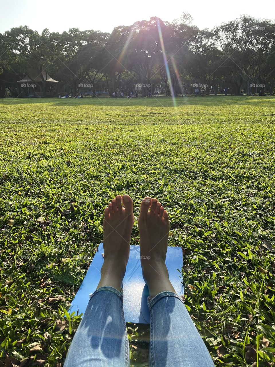 Enjoy winter sun. Chill and fun when you can lay down on the grass and do nothing just chill. 