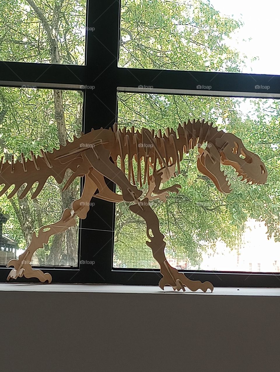 Dinosaur in the Window