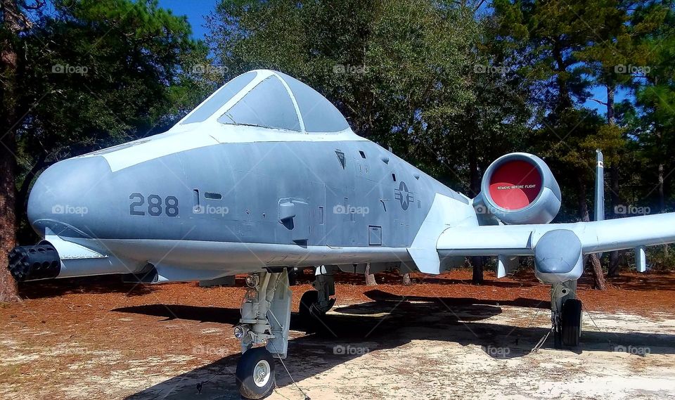 Eglin air force base Niceville Florida Sunday stroll around war machines air plans guns and more bombs guns