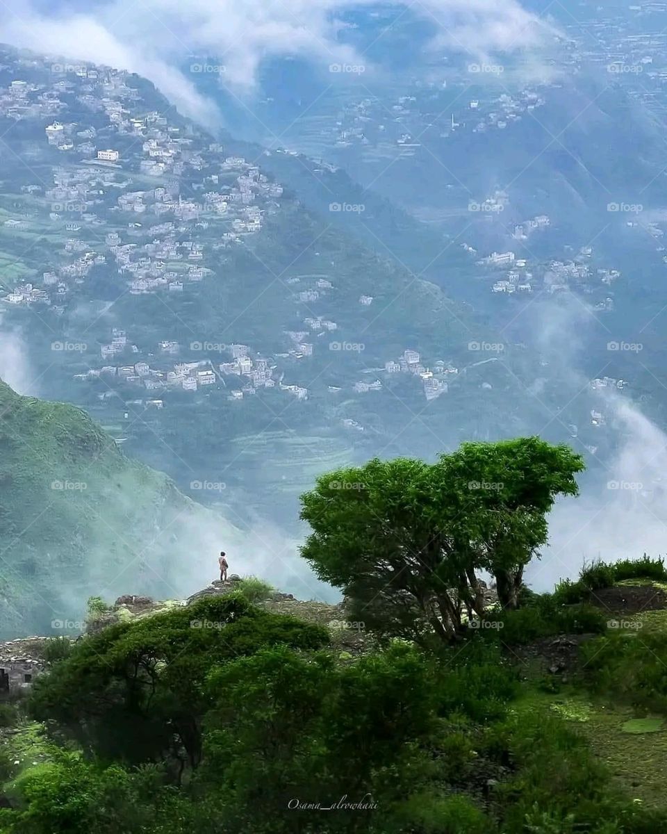 A very beautiful picture, and there is no better picture than it. There is no better picture of green herbs and colorful, red and white roses than it. Glory be to God, the natural and picturesque view, and there is no more