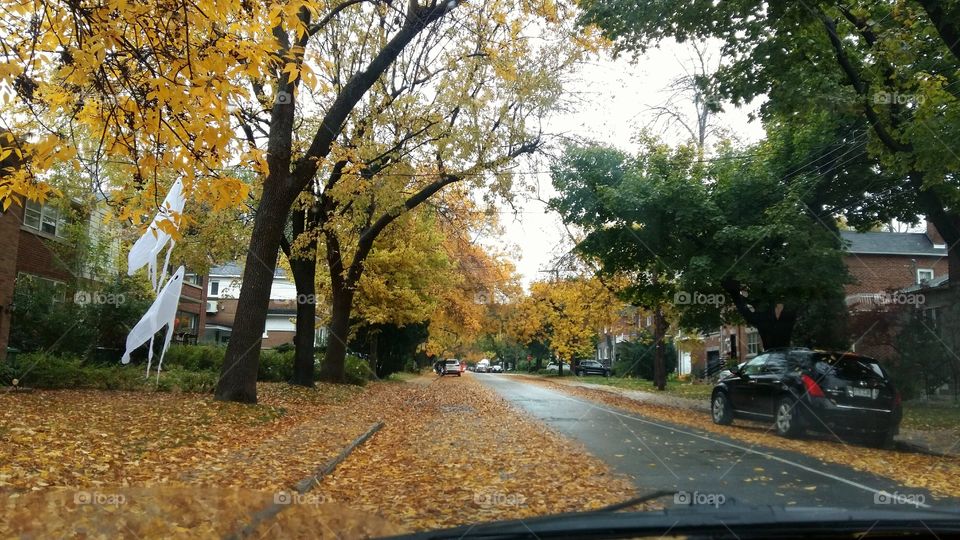 montreal autumn