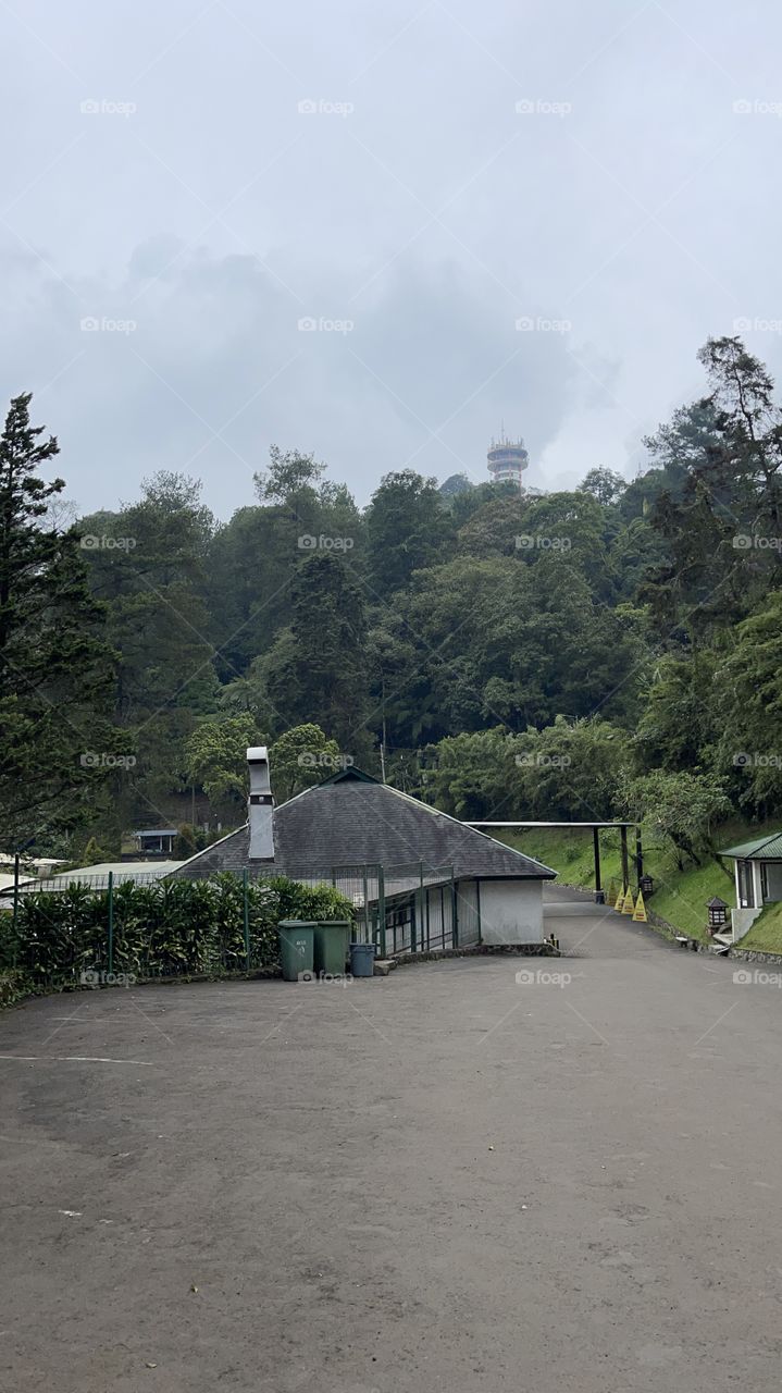 Building in the middle of bush