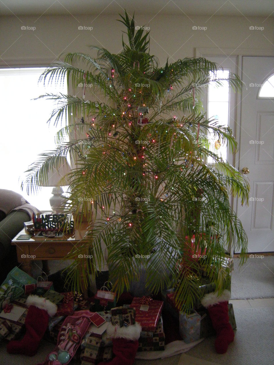 Christmas Palm Tree