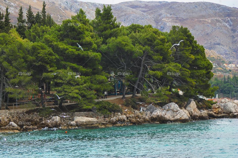 Scenic view of birds flying over sea