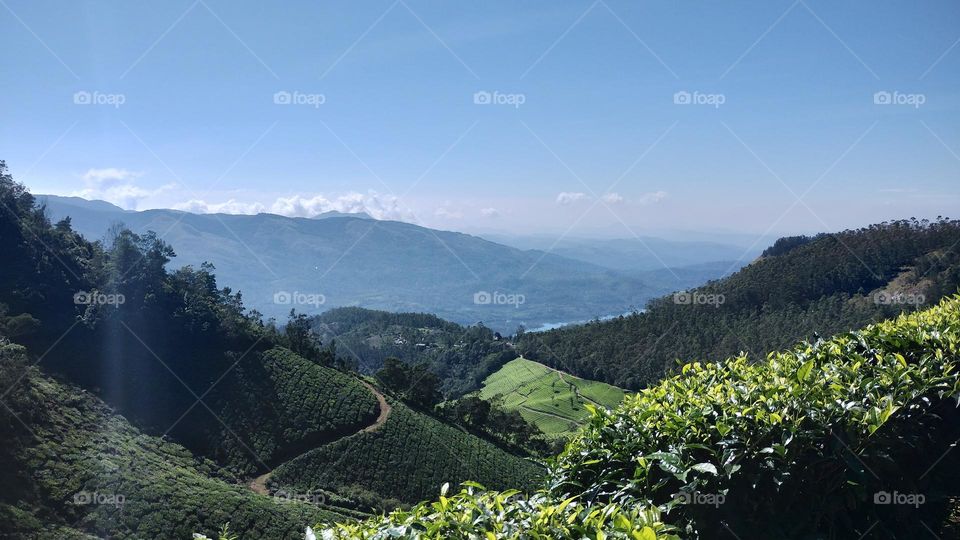 “Choose only one master—nature.” –