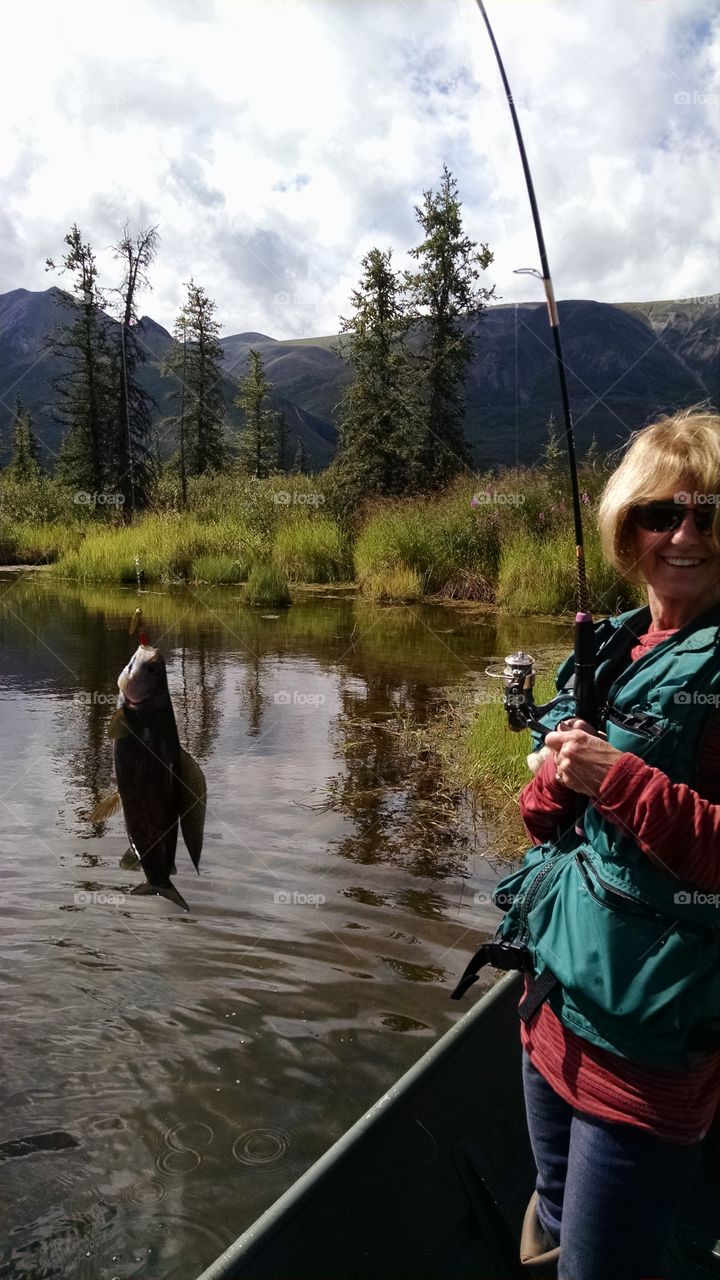 Fishing for Graylings