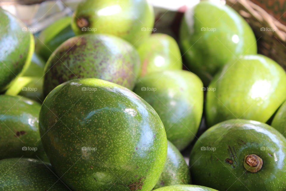 Avocado 1