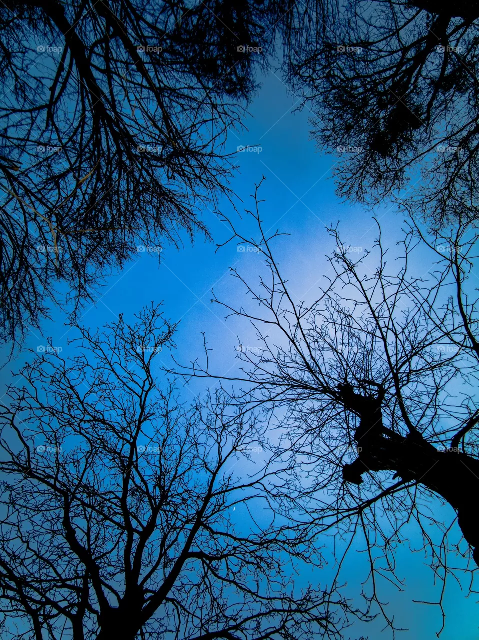 leading to sky