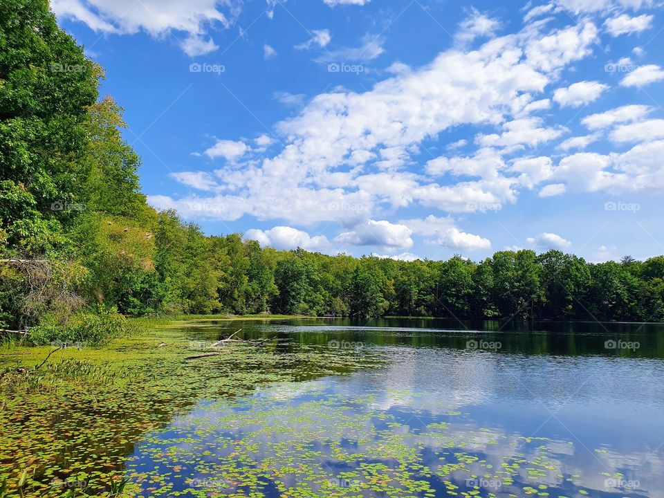 summer Lake