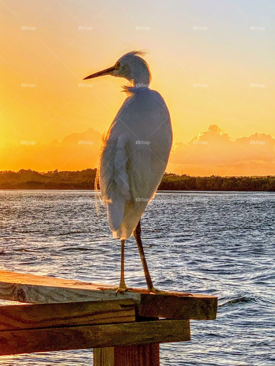 Enjoying the sunset