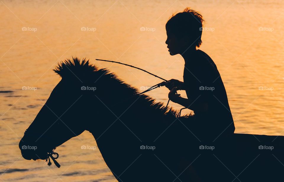 Profiles at sunset