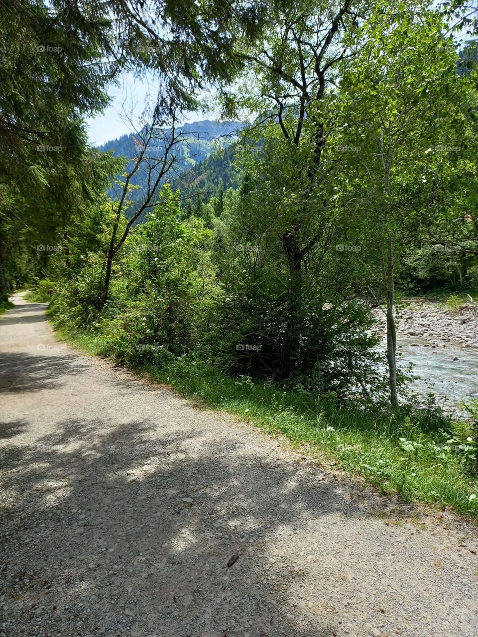 Trail Alongside a Mountain River