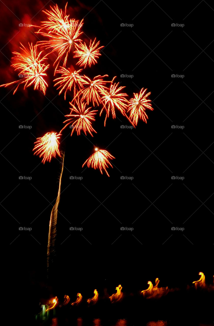 Here, over the Gulf of Mexico, a barrage of missiles designed to explode in a controlled way explode with brilliant red, orange, yellow, green, blue and purple colors! Thousands of people across the United States will be celebrating Independence Day on July 4th by  attending firework displays! 