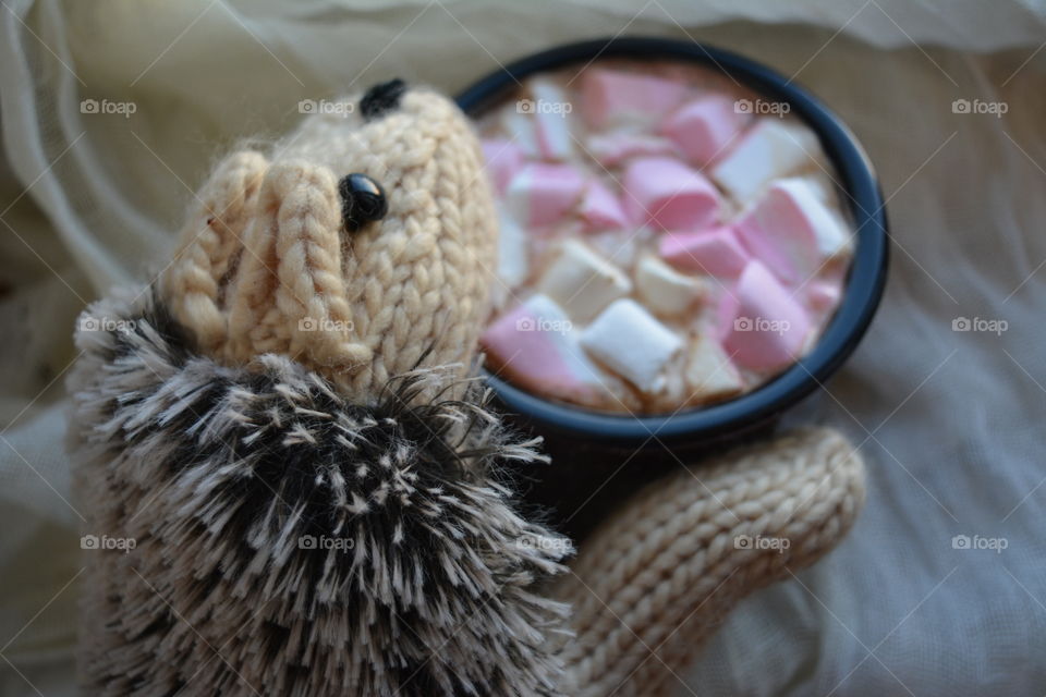 No Person, Food, Wood, Color, Desktop