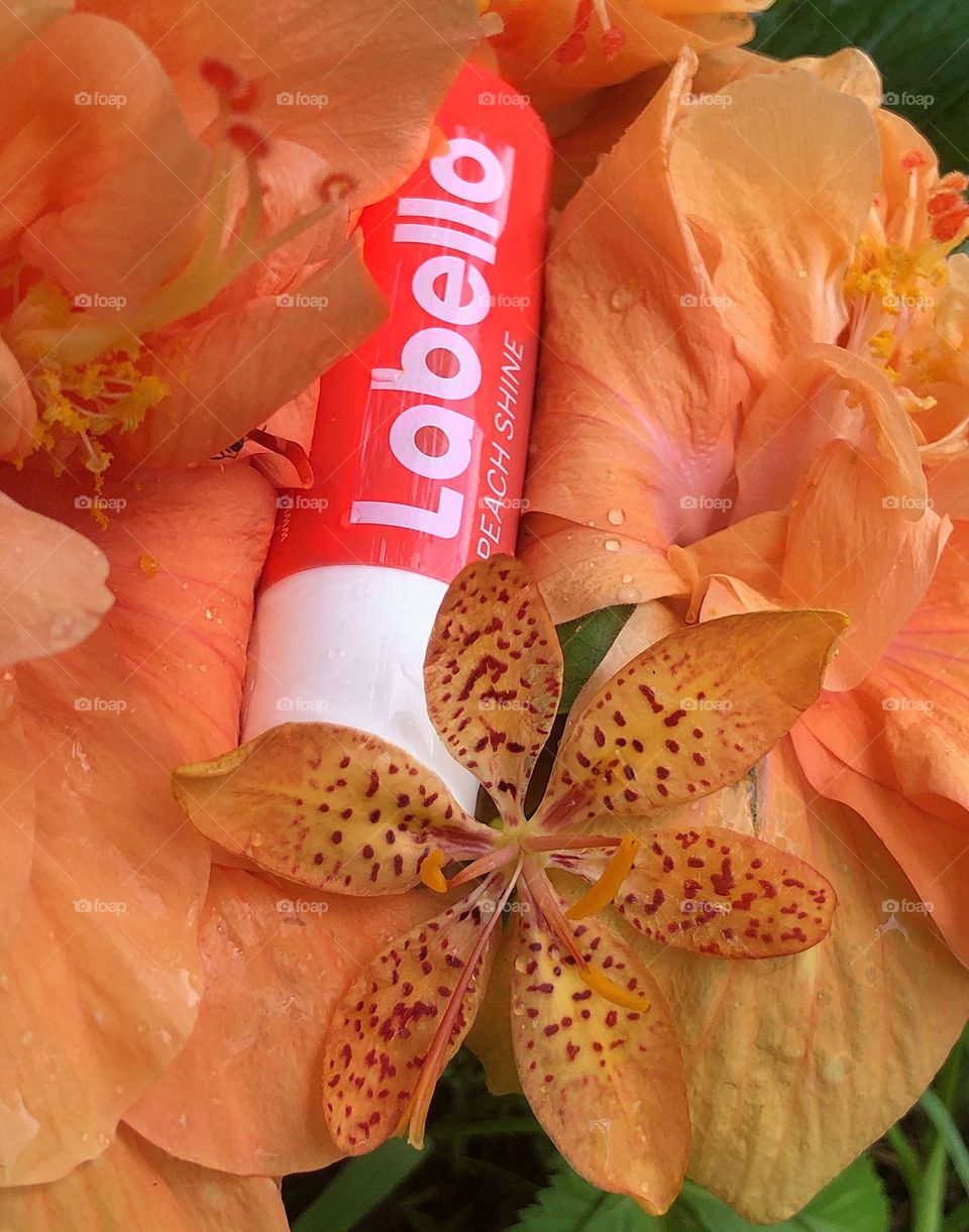 Labello luscious orange lip balm.