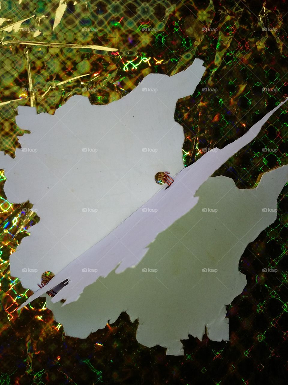 the face book of the country SYRIA.
it's the first book entire the worldwide on it and no one like this in the world till now.
if you want to earn money with it you should download it's first photograph at the first sight.