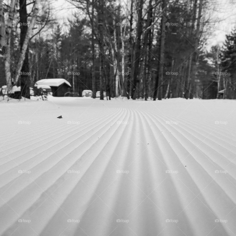 Unique lines from arrowhead provincial park Muskoka
